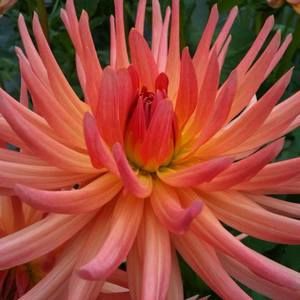 Meet your Posher, Stacey